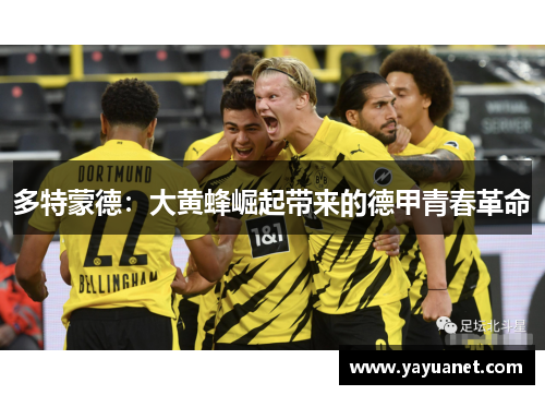 多特蒙德：大黄蜂崛起带来的德甲青春革命
