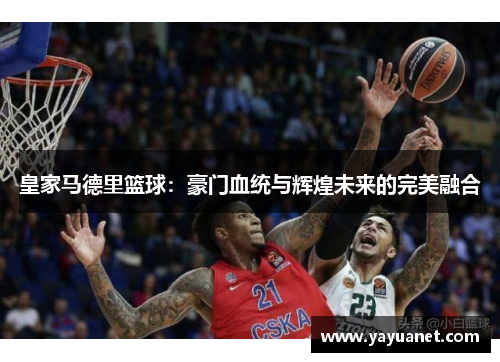 皇家马德里篮球：豪门血统与辉煌未来的完美融合